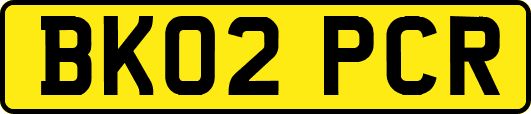 BK02PCR