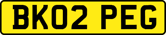 BK02PEG