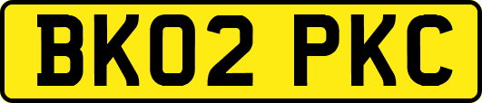 BK02PKC