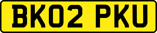 BK02PKU