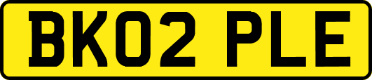 BK02PLE