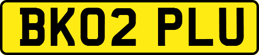 BK02PLU