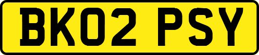 BK02PSY