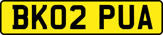 BK02PUA