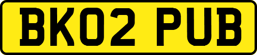 BK02PUB