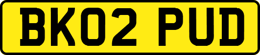 BK02PUD