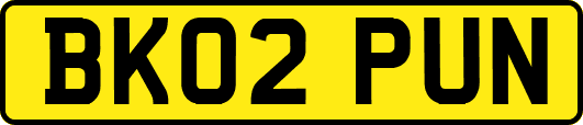 BK02PUN