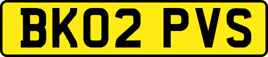 BK02PVS