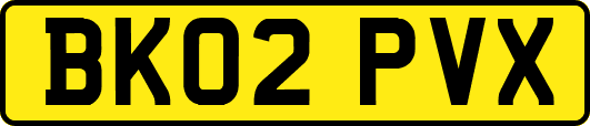 BK02PVX