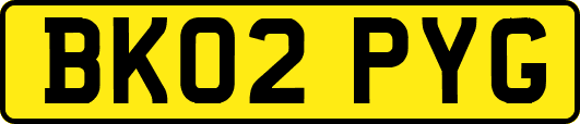 BK02PYG