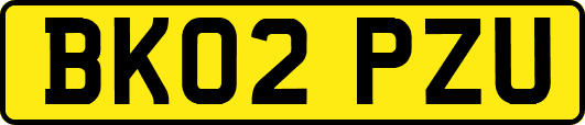 BK02PZU