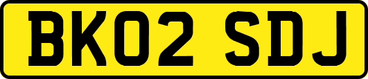 BK02SDJ
