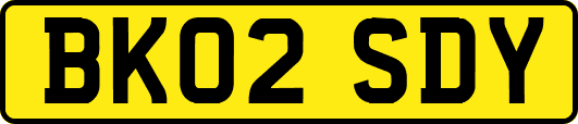 BK02SDY