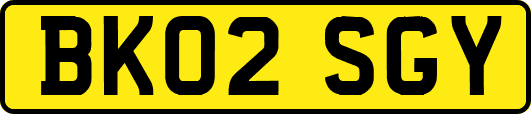 BK02SGY