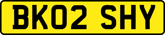 BK02SHY