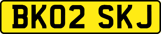 BK02SKJ