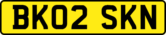 BK02SKN