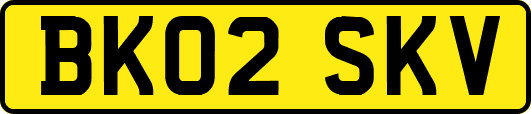 BK02SKV