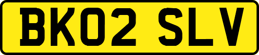 BK02SLV