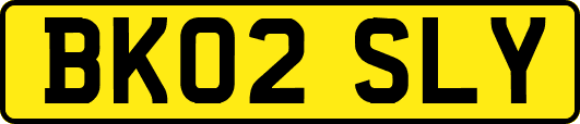 BK02SLY