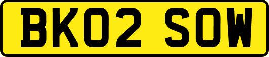 BK02SOW