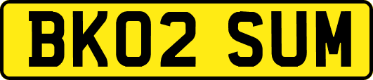 BK02SUM
