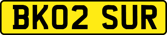 BK02SUR