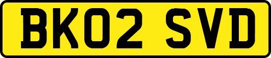 BK02SVD