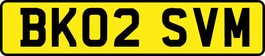 BK02SVM