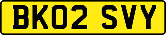 BK02SVY