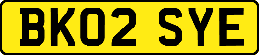 BK02SYE