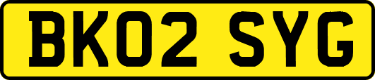 BK02SYG