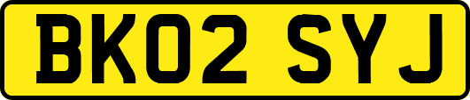 BK02SYJ