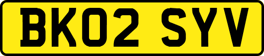 BK02SYV