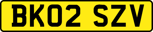 BK02SZV