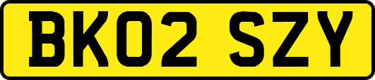 BK02SZY