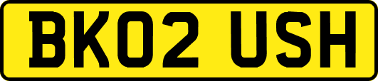 BK02USH