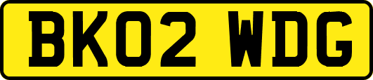 BK02WDG