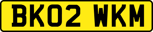 BK02WKM