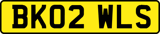 BK02WLS