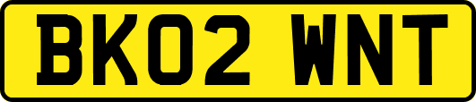 BK02WNT