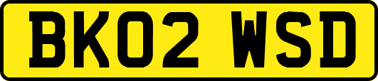 BK02WSD