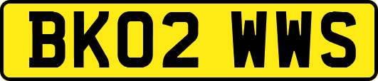 BK02WWS