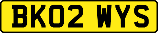 BK02WYS