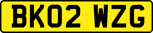 BK02WZG