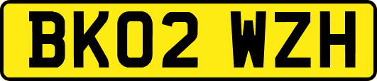 BK02WZH