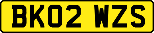BK02WZS