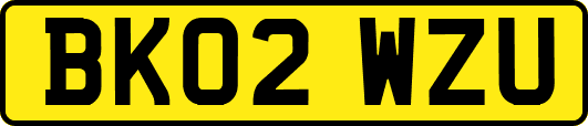 BK02WZU