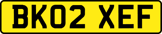 BK02XEF