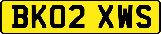 BK02XWS